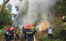 Bài tuyên truyền phòng cháy, chữa cháy rừng năm 2022