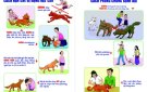 Bài tuyên truyền phòng, chống bệnh dại ở động vật tren địa bàn xã Phú Sơn
